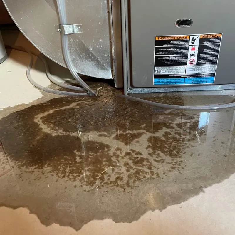 Pipe Burst and Leak Restoration in Muscatine County, IA
