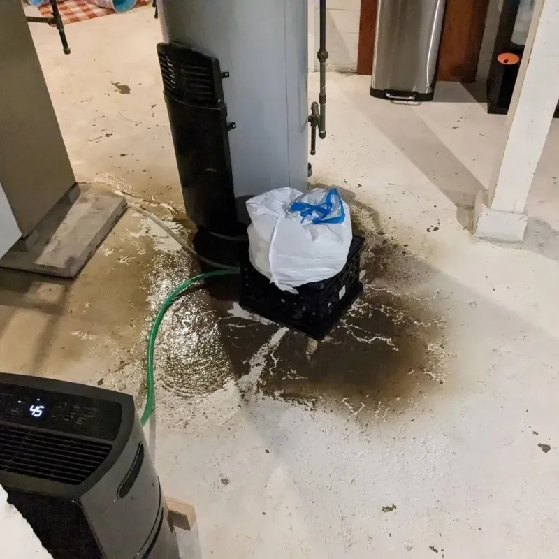 Sewage Backup Cleanup Service in Muscatine County, IA